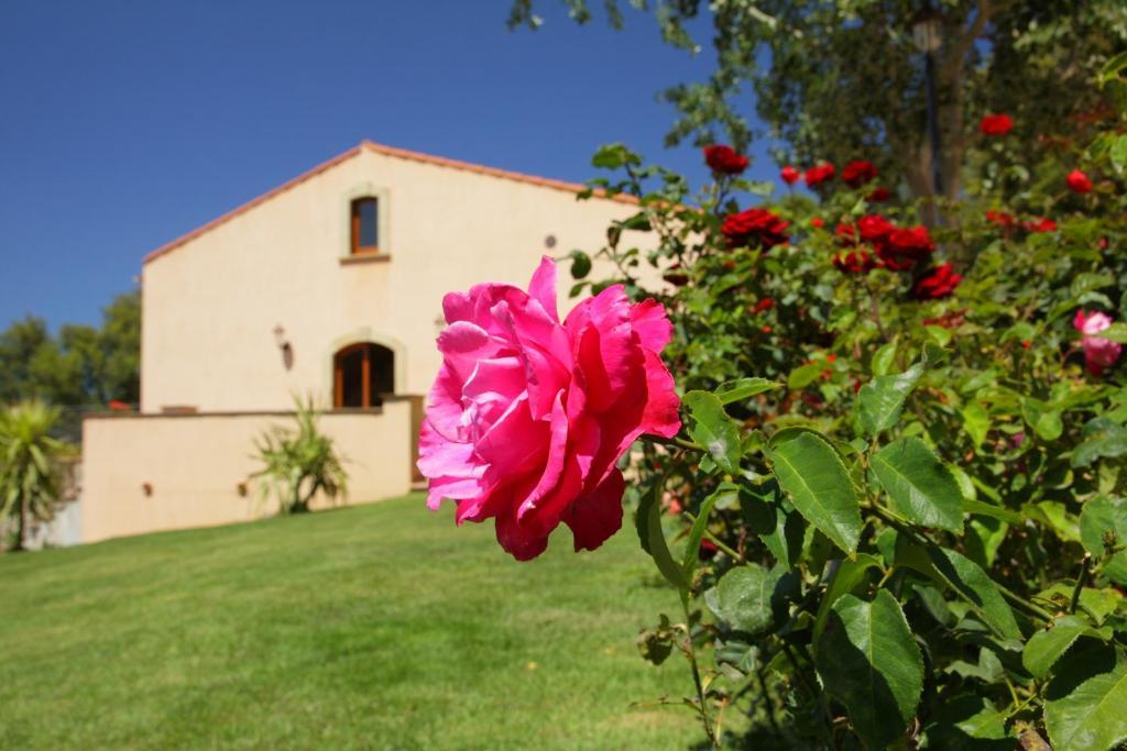 B&B Le Ginestre Cefalù Extérieur photo